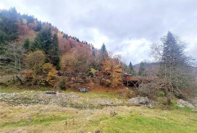 Teren intravilan panoramic 4.600mp,view iconic Piatra Craiul - 6