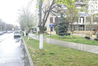 Spațiu comercial, de 43 mp, în 22 Decembrie - 3