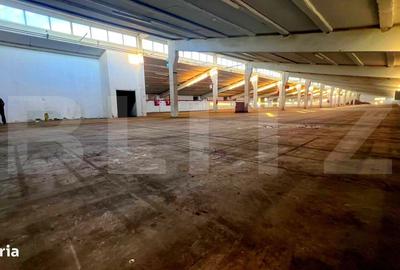 Spațiu comercial, de 4,700 mp, în Mănărade - 1