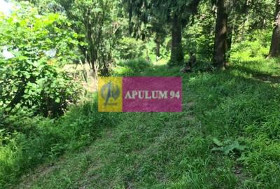 Teren de vânzare în Bușteni - Zona Zamora - 8