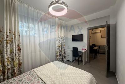 Studio de închiriat în brazdă - 2