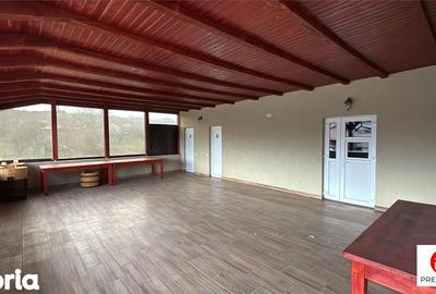 Spațiu comercial, de 450 mp, în Pănet - 2