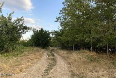 Corbeanca - Tamasi, intravilan, 16562 mp, deschidere 93 m, rezidential! 	Corbeanca - Tamasi, intravilan, 16562 mp, deschidere 93 m, rezidential! - 2