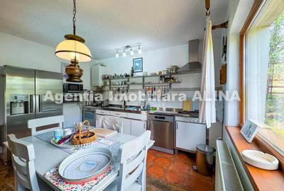 Casa LA CHEIE si teren 20.764 mp in Deva, zona Archia, Jud. Hunedoara. - 3