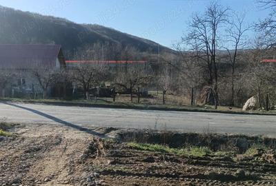Vand 5000 mp teren intravilan, Curtea de Arges, iesire spre Valcea - 9