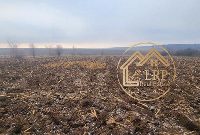 Uzunu Calugareni DN5/E85 -casa, anexe, intravilan 10.488mp, utilitati - 27