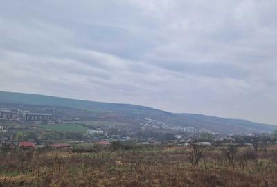 Spațiu comercial, în Chinteni - 5