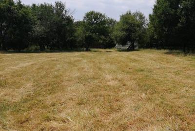 Teren Tismana - sat Gornovita - 3