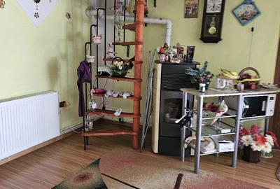 Casă cu 3 camere cu Teren 500 Mp în Lacu Dulce - 3