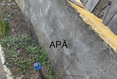 PROPRIETAR - Vand teren + casa comuna Dascalu - 8