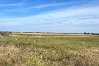 Teren de 2480 mp, în Rădăuți