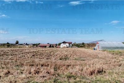 Ferma 3,3ha, din care 2,5ha intravilan, vila 7 camere, D+P+E+M, casa pentru munc Ferma 3,3ha, din care 2,5ha intravilan, vila 7 camere, D+P+E+M, casa pentru munc - 9