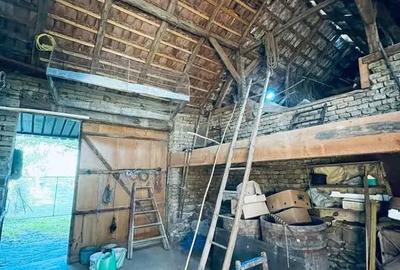 Casă cu 4 camere cu Teren 1712 Mp în Finiș - 10