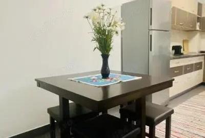 Inchiriere casa vila P+1 singur curte zona domeni Inchiriere casa vila P+1 singur curte zona domeni - 3