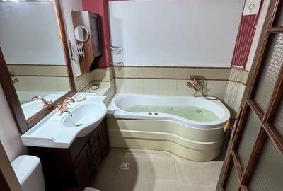APARTAMENT SPATIOS SI LUMINOS - 8