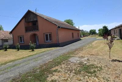 Casă cu 4 camere cu Teren 5456 Mp în Nădlac - 18