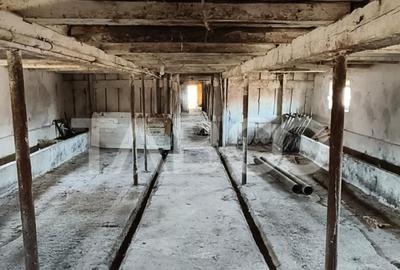 Microferma cu locuinta de vanzare in Pianu de sus - 5