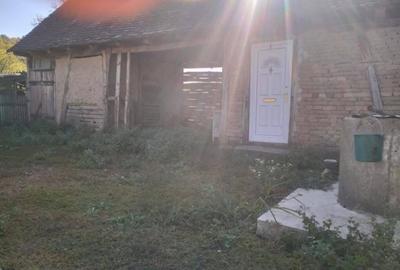 Teren 6000mp Julita, Arad - 2