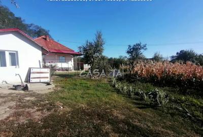 Casă cu 3 camere cu Teren 8567 Mp în Bumbești-Pițic - 12