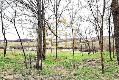Teren agricol extravilan de 25000 mp, în Secaș - 8