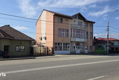 Spațiu comercial, de 390 mp, în Schela Cladovei - 8