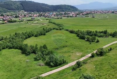 Comision 0% | Teren intravilan cu izvor | 2,730mp | Zarnesti | - 7