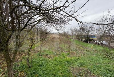 Casă cu 3 camere cu Teren 2434 Mp în Bercu - 8