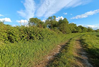 Teren extravilan arabil 20.000 mp Cristian Teren extravilan arabil 20.000 mp Cristian - 8