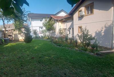 Pensiune functionala arhitectura deosebita Buzias - 3