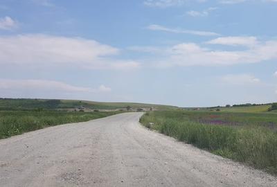 Teren, aproape de Baza Sportiva Gheorghe, de inchiriat - 3