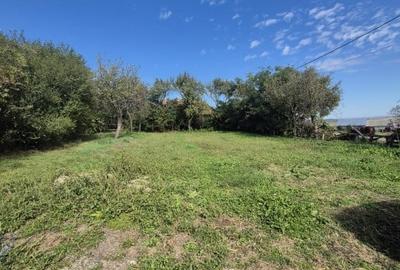Proprietate cu potential: casa cu teren 938 mp langa Tureni, toate utilitatile Proprietate cu potential: casa cu teren 938 mp langa Tureni, toate utilitatile - 9