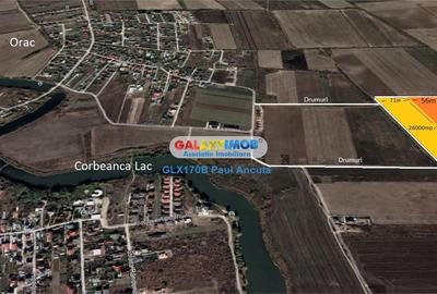 Teren Construcții intravilan de 21500 mp, în Corbeanca - 3