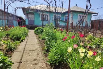 Casă cu 5 camere cu Teren 1820 Mp în Perișor - 5