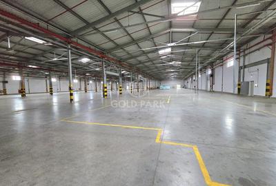 Spatiu Industrial - Turda - Constructie Noua- Autorizatie ISU - 3