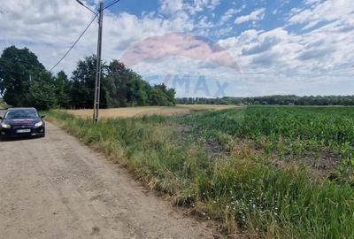 Teren Construcții intravilan de 10001 mp, în Onișcani - 3