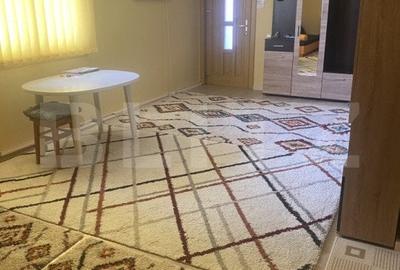 Casa de vanzare, cu 4 camere, 120 mp, zona Neagra Șarului - 4
