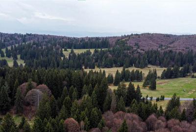 FILM! 1.000 mp,PUZ,regim P 2 M,destinatii turistice rezident - 14