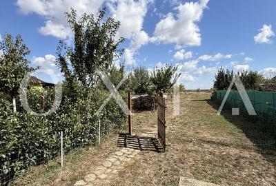 LX297 Casa Parta, spatioasa, teren generos - 16