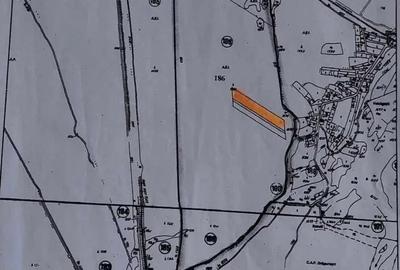 Teren agricol extravilan de 11469 mp, în Voinigești - 3