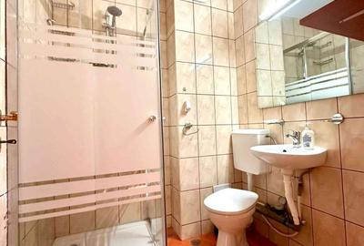 Apartament 3 camere in zona Arcu - Carrefour (fost Billa) - 5