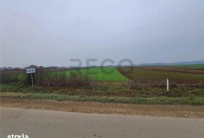 Teren de 5712 mp, în Tăut - 4