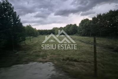 Teren de vanzare cu autorizatie de constructie pe Valea Avrigului, Sibiu! - 2