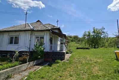 Casă cu 2 camere cu Teren 2000 Mp în Coaș - 4