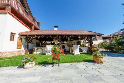 Hotel Bielmann,unicitate si profitabilitate optima in turism,Sanpetru, Brasov - 40