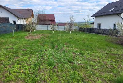 Teren de 900 mp, în Moara - 1