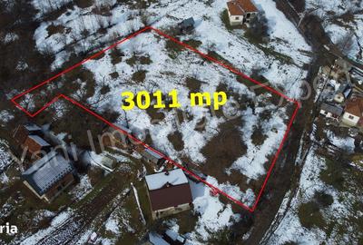 Teren de 3011 mp, în Bradu - 6