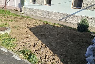 Casă cu 4 camere cu Teren 700 Mp în Peciu Nou - 1