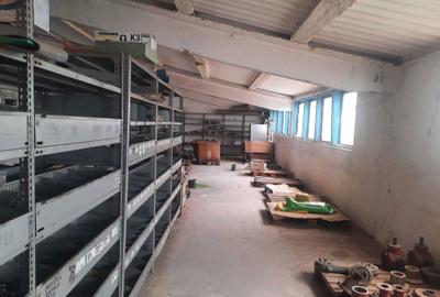 Spațiu comercial, de 2,300 mp, în Panic - 5