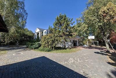 Vilă individuala în zona Iancu Nicolae - 6