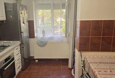 Vand apartament 3 camere decomandat Deva, Saturn, parter, mobilat - 17